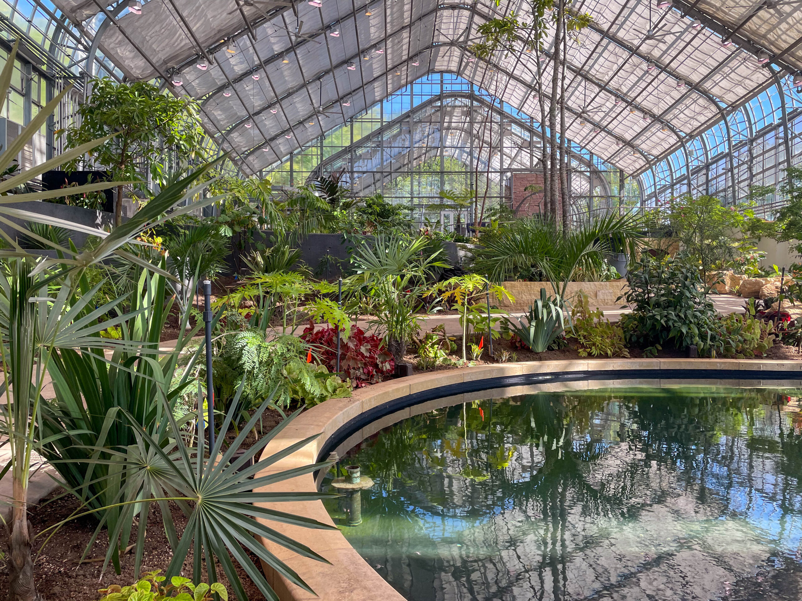 Tiered rows of newly planted tropical plants surround a water feature to house aquatic plants. 