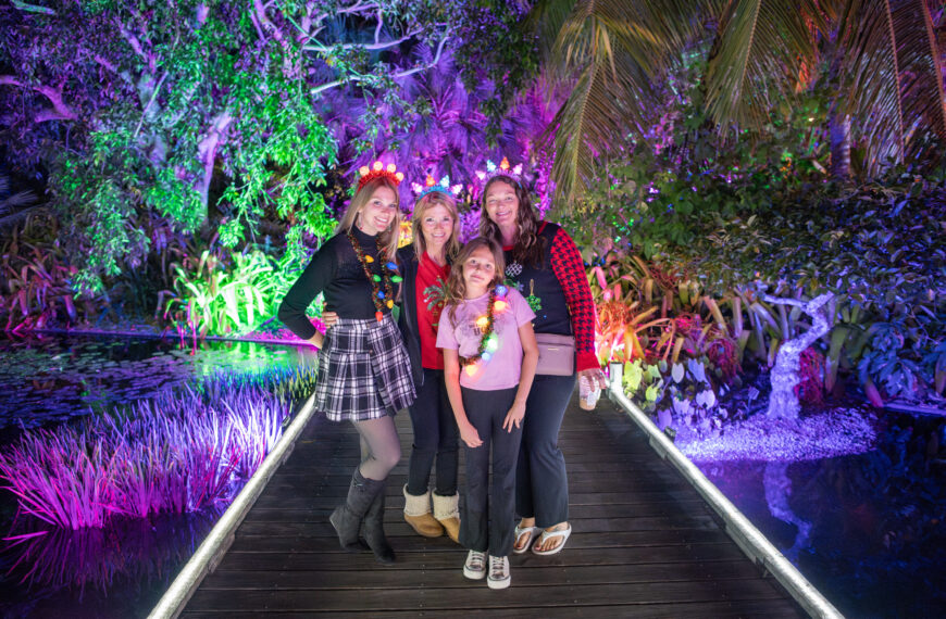 Capturing Magical Memories: Smartphone Photography at Night