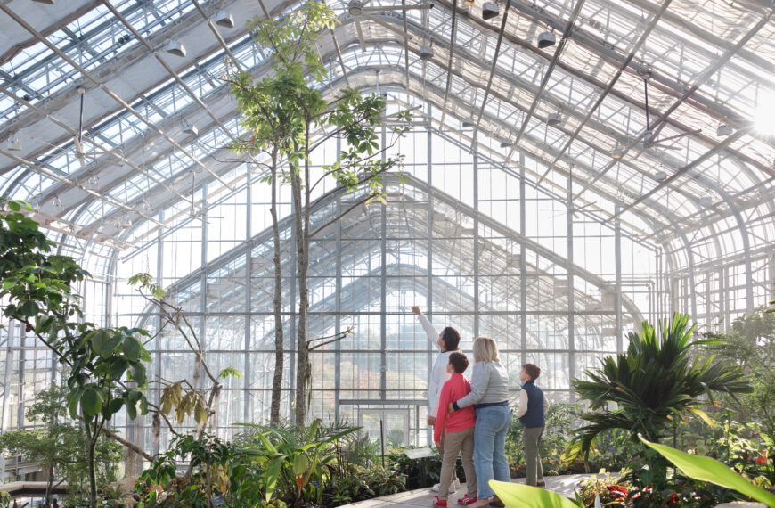 Lending a Planting Hand