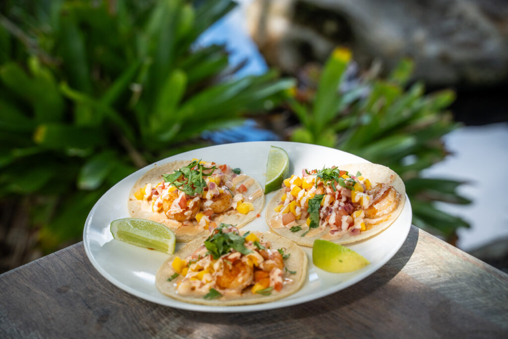Three corn tortillas displayed on a plate each with shrimp, corn, mango pico de gallo, cilantro, a chili cream sauce, and garnished with lime wedges