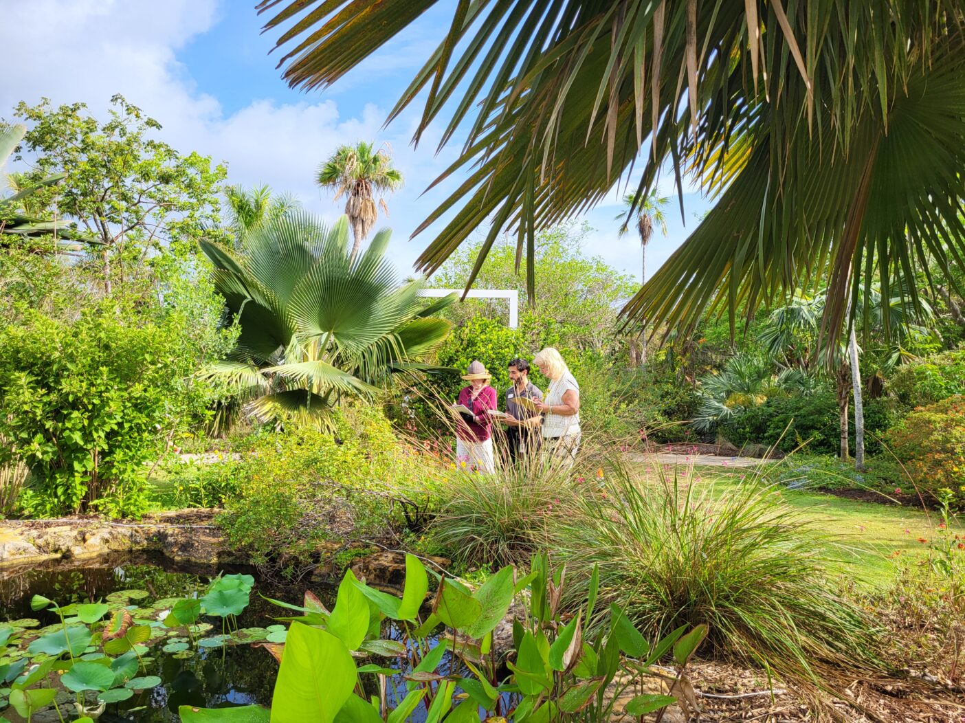 Three people stand with sketchbooks amid a lush, tropical, garden space.