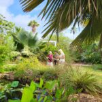 Three people stand with sketchbooks amid a lush, tropical, garden space.