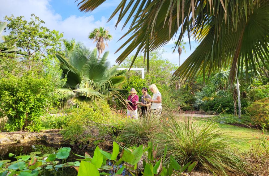 Three people stand with sketchbooks amid a lush, tropical, garden space.