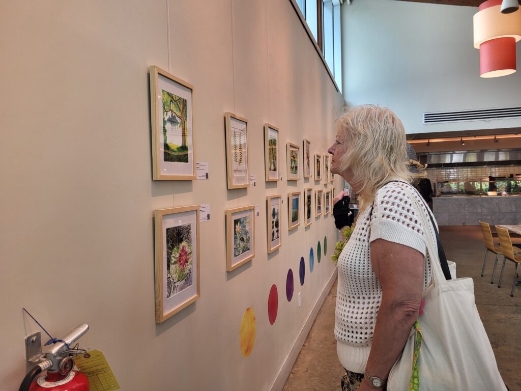 A person wearing a white shirt looks at one of about 16 framed drawings on a wall.