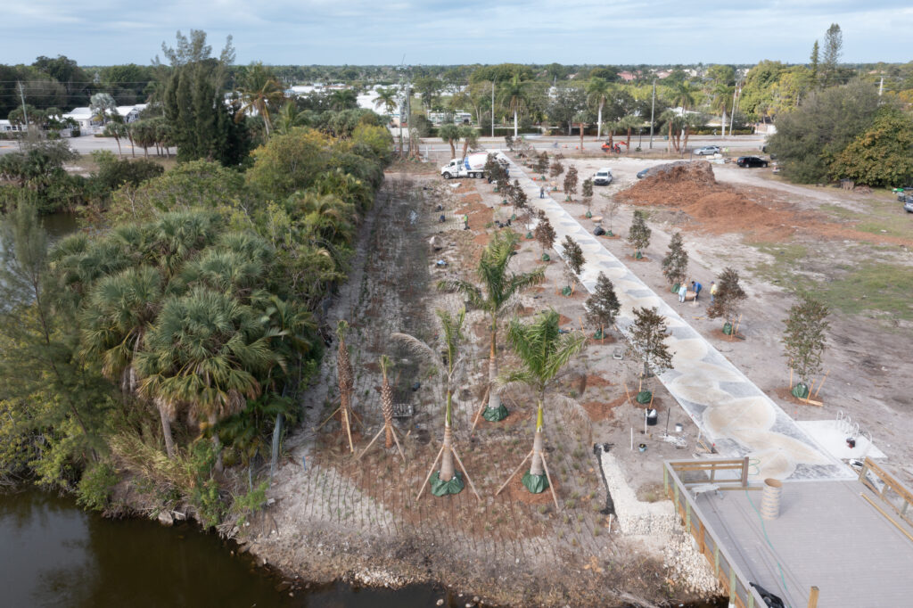 Multiple palm tree species are and satinleaf trees line a pedestrian walkway.