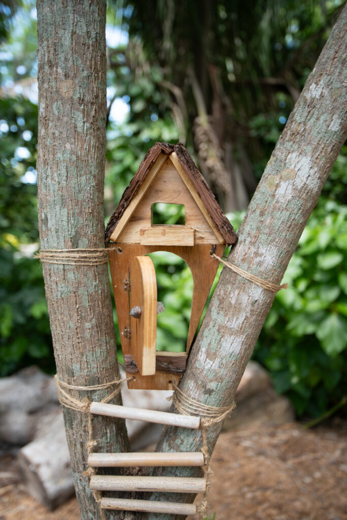 A tiny wooden doorway is hung between a fork in a small tree. The door is open and there is a roof over the doorway. 