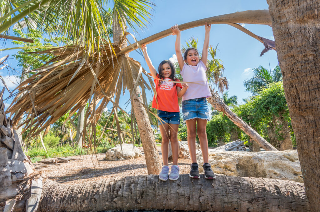 Tree Trunk Forts, Rock Mountains & Teacup Flowers