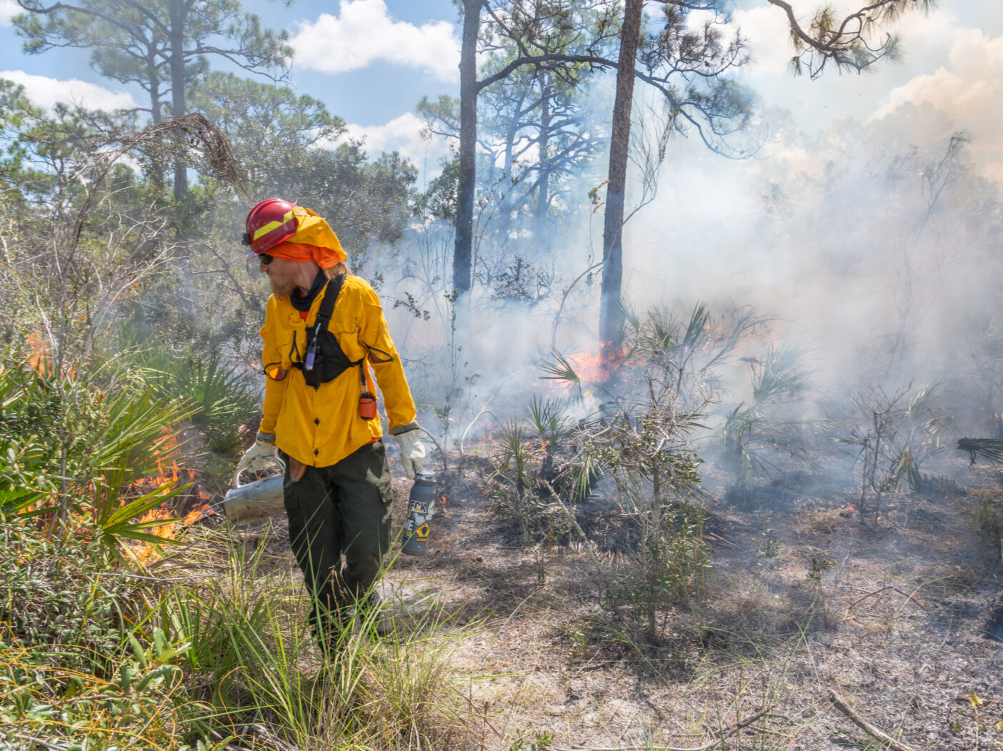 A person in fire protective gear walks down a pathway while using a torch to light the vegetation along the path.