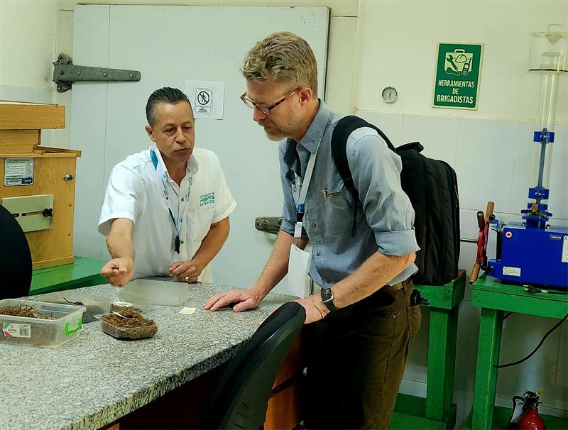 Two people are in a plant lab leaning over a table while inspecting plant material. 