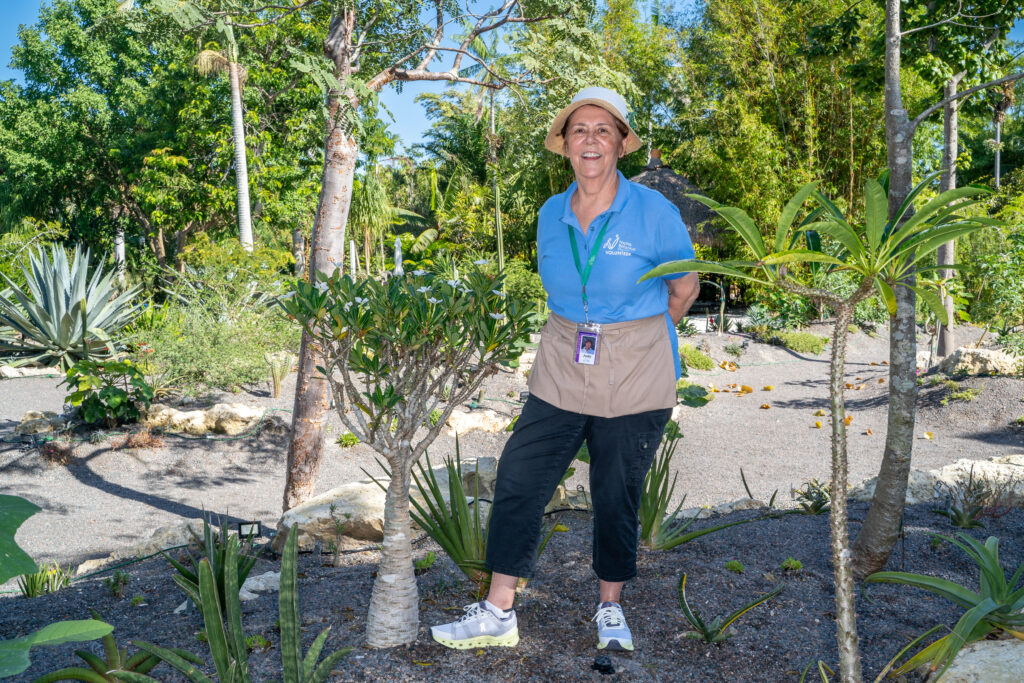 A person in a blue volunteer shirt poses for a photo while standing in the succulent garden.