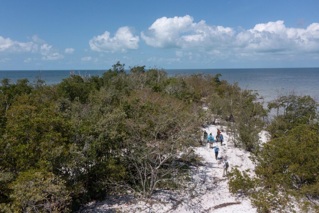 An aerial photo shows a group of six people walking on a sandy pathway through dense vegetation on an island. There is ocean in the distance.