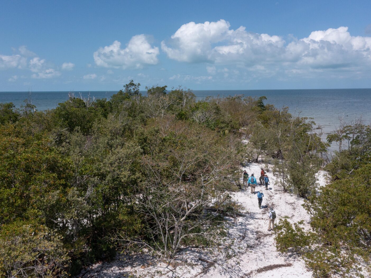 An aerial photo shows a group of six people walking on a sandy pathway through dense vegetation on an island. There is ocean in the distance.