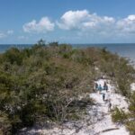 An aerial photo shows a group of six people walking on a sandy pathway through dense vegetation on an island. There is ocean in the distance.