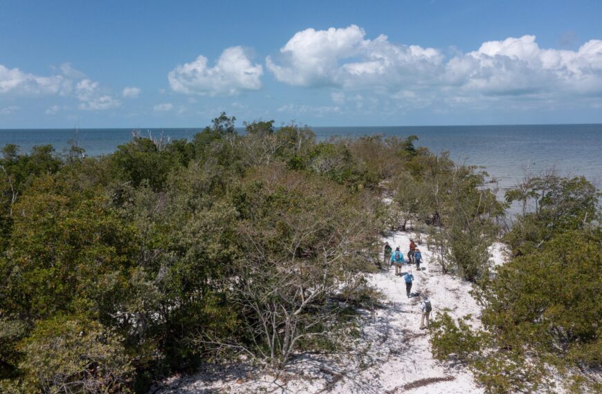 An aerial photo shows a group of six people walking on a sandy pathway through dense vegetation on an island. There is ocean in the distance.