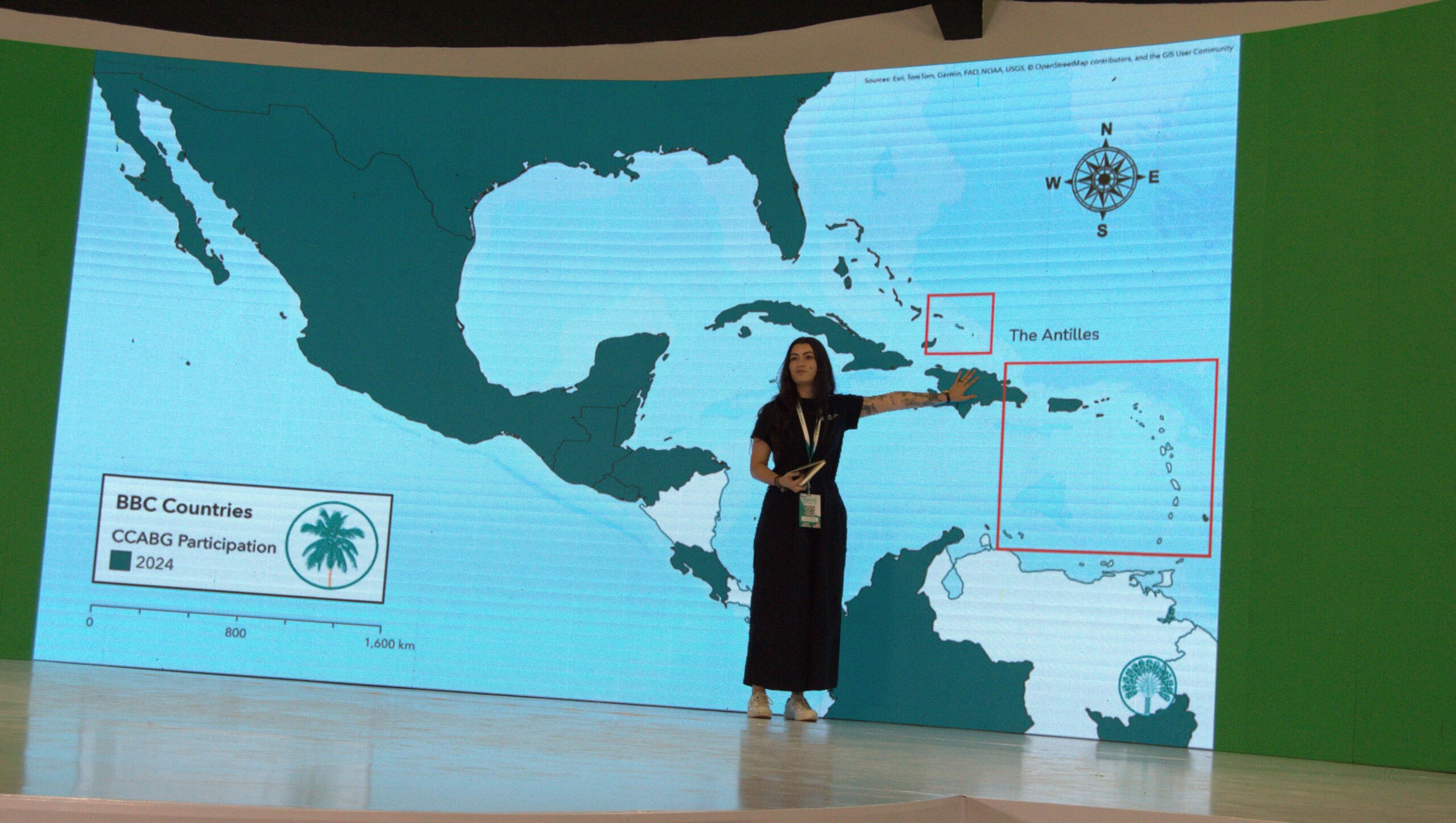 A person stands in front of a large screen giving a presentation. 