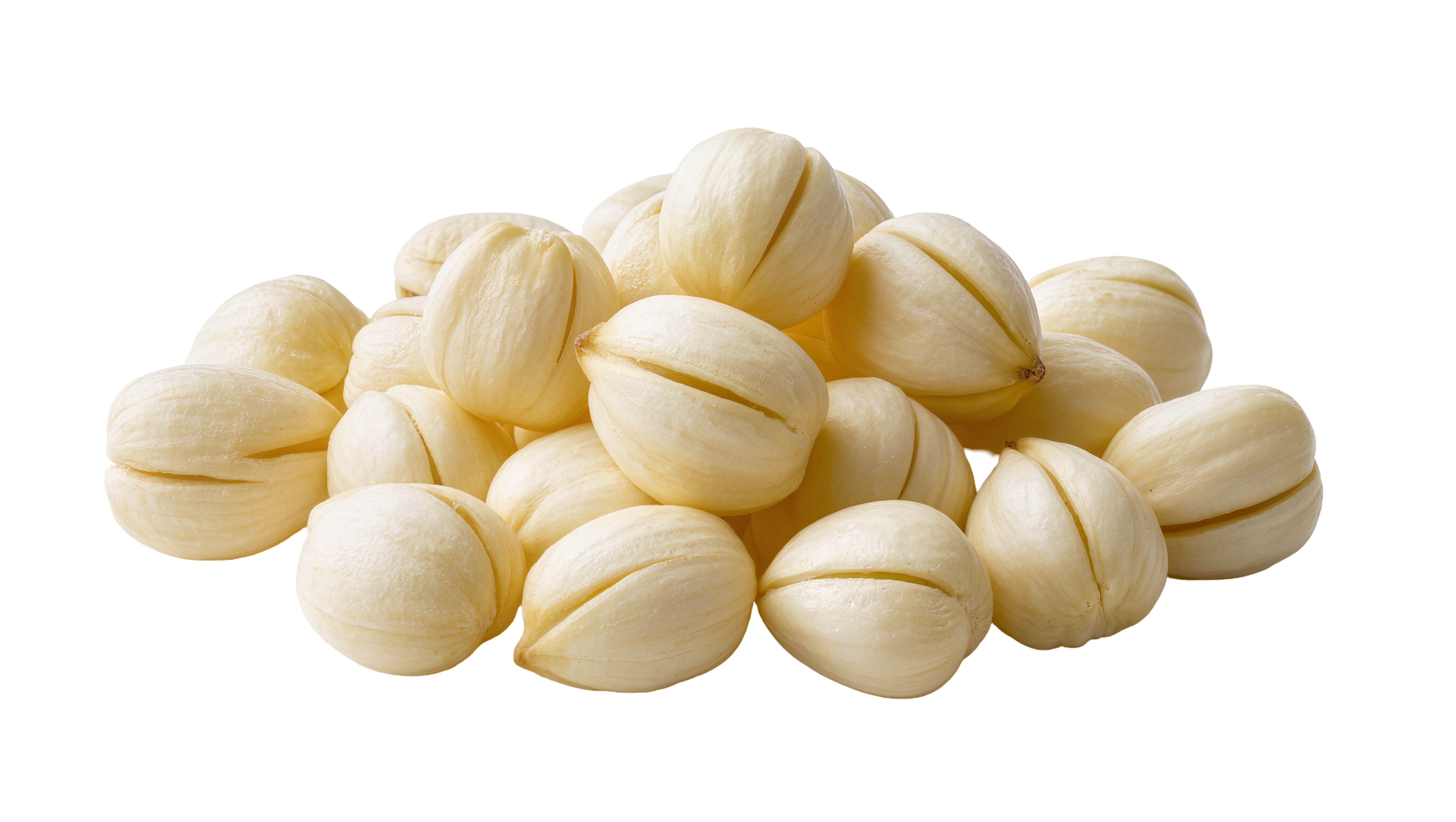 A small pile of pale seeds, all with a split down the center