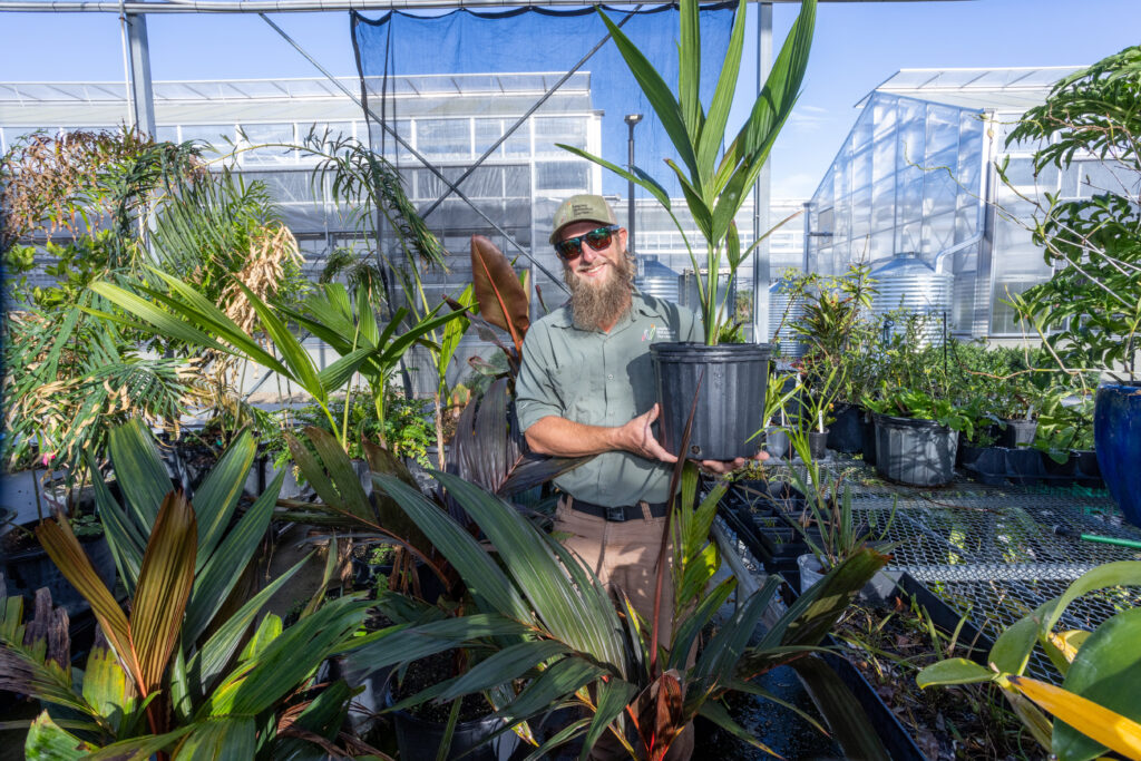 A man holds a potted palm tree with a greenhouse in the background.