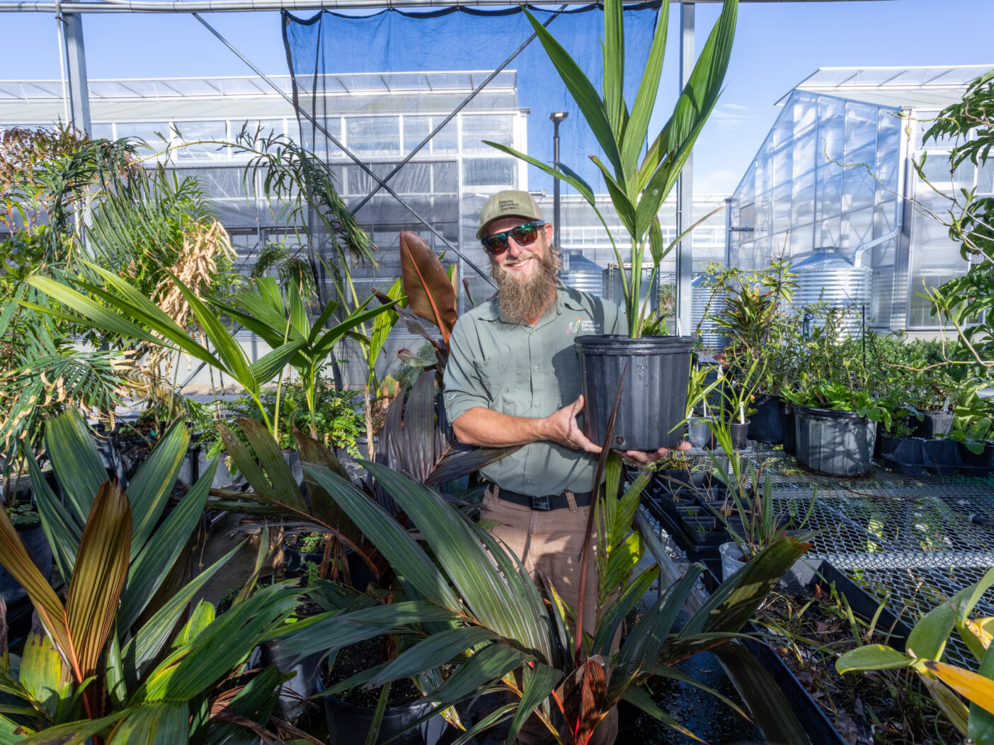 A man holds a potted palm tree with a greenhouse in the background.