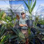 A man holds a potted palm tree with a greenhouse in the background.
