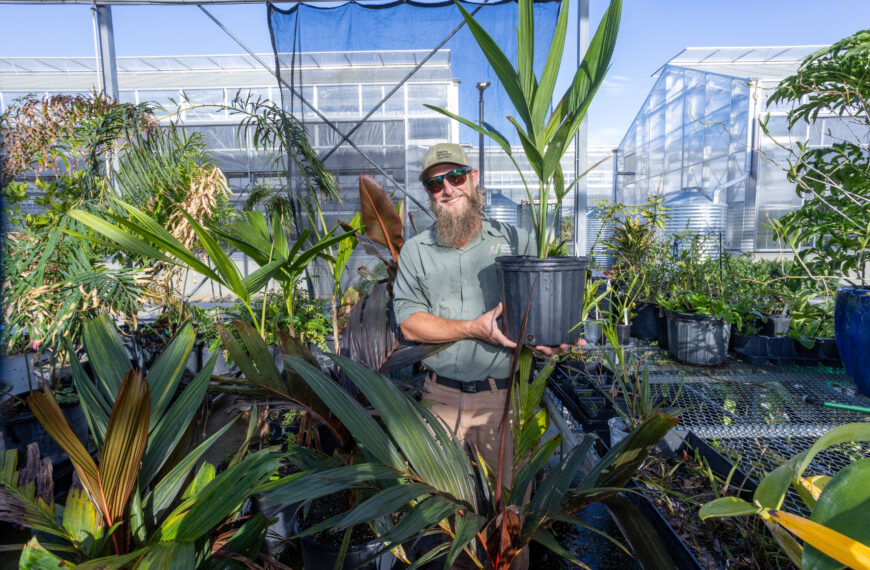 A man holds a potted palm tree with a greenhouse in the background.