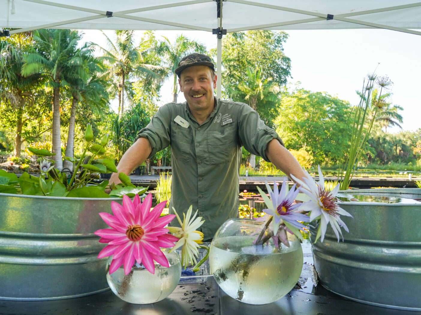 A person poses behind a table that showcases two silver tubs filled with waterlily plants and two jars holding four large waterlily flowers.