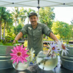A person poses behind a table that showcases two silver tubs filled with waterlily plants and two jars holding four large waterlily flowers.