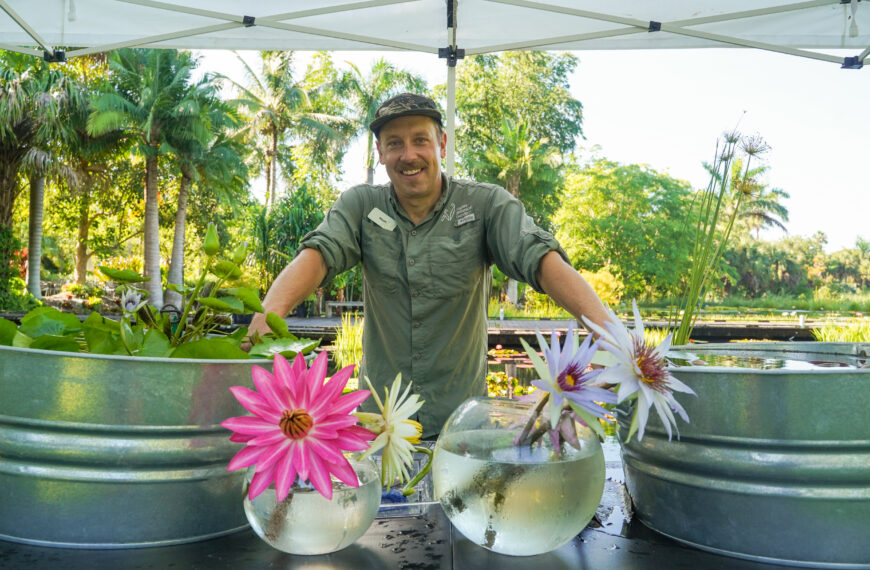 A person poses behind a table that showcases two silver tubs filled with waterlily plants and two jars holding four large waterlily flowers.