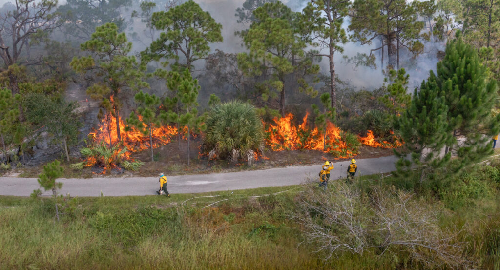 Aerial footage shows a natural area separated by a road. The uppermost portion of the natural area is ablaze while a few people monitor the flames. 