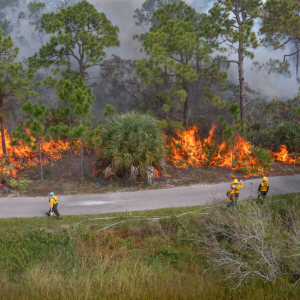 Aerial footage shows a natural area separated by a road. The uppermost portion of the natural area is ablaze while a few people monitor the flames.