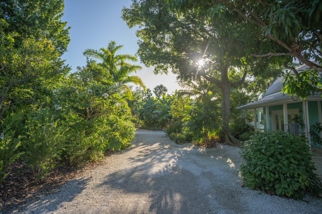 A gravel pathway disappears into a lush garden with large plants and trees on either side.
