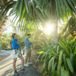Two people stand on a lush garden pathway holding tablets and looking at a large palm tree.