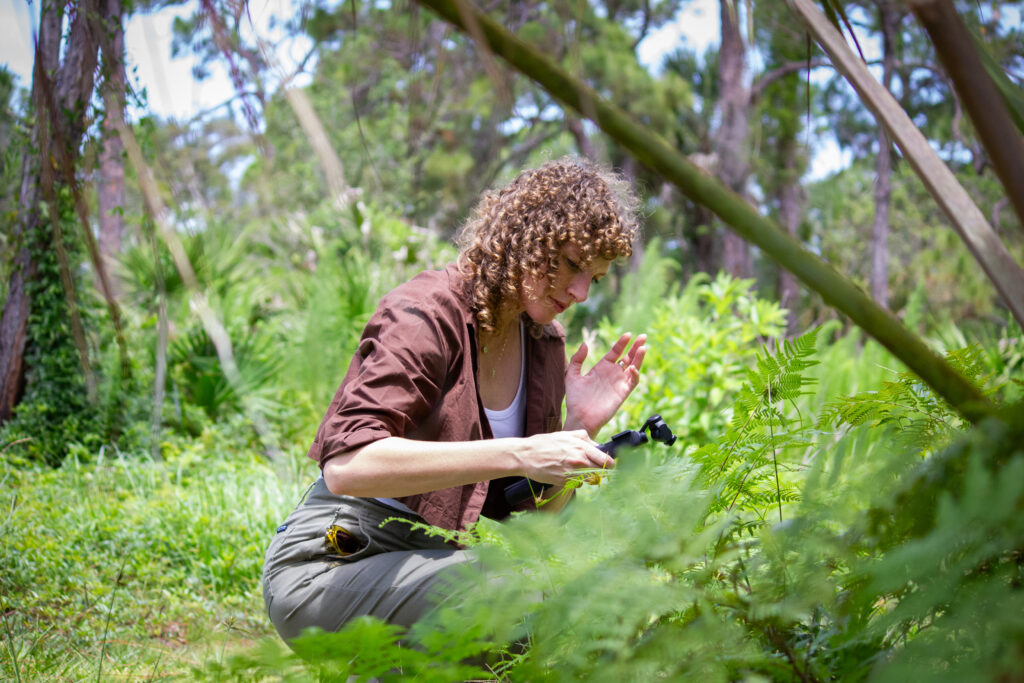 A person kneels down photograph a plant up close. They are surrounded by ferns, shrubs, and other native plants. 