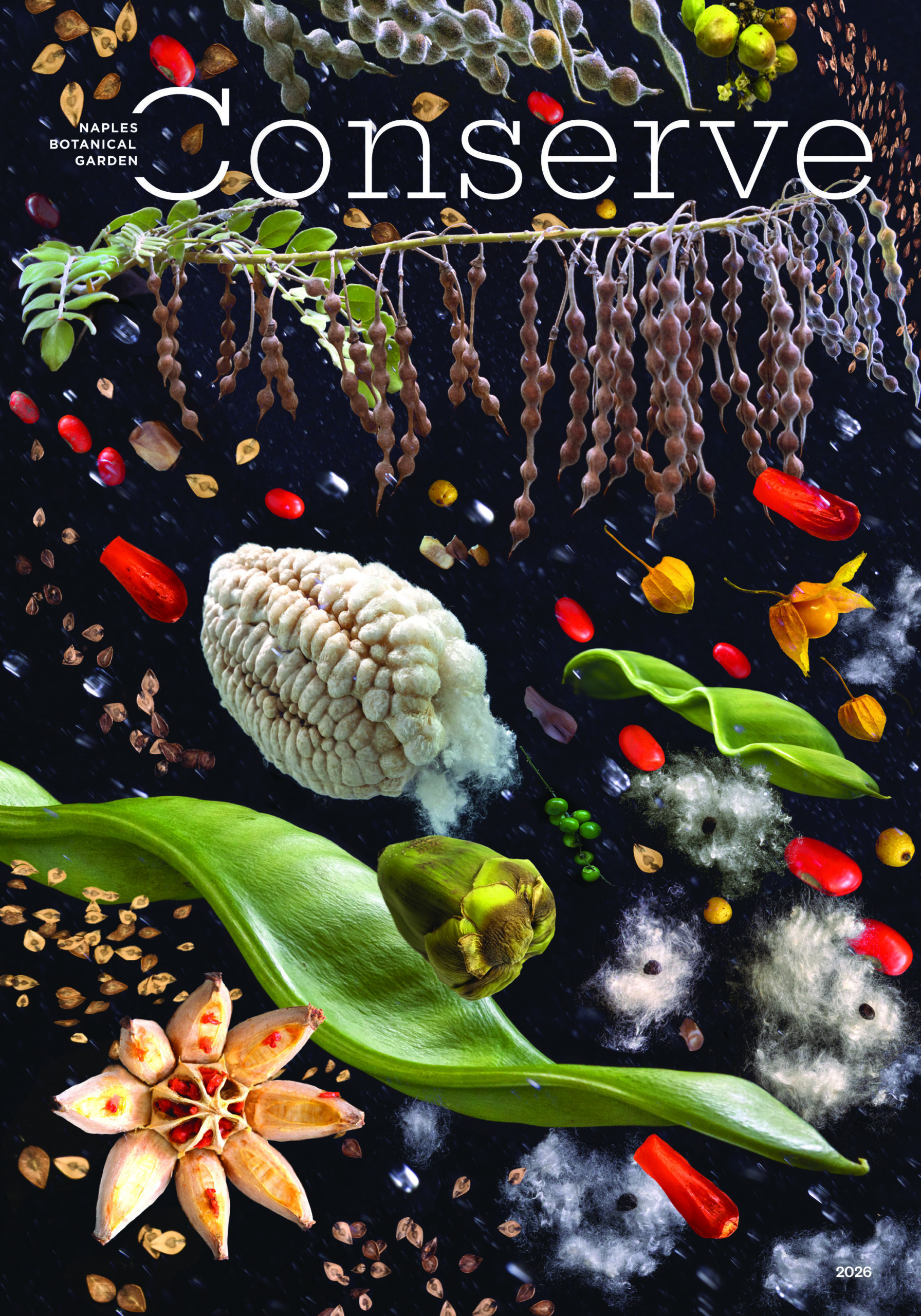 Cover of Conserve magazine with logo and dark background with hundreds of seeds cascading across it. The seeds are a range of colors including red, green, yellow, white, brown, and tan,