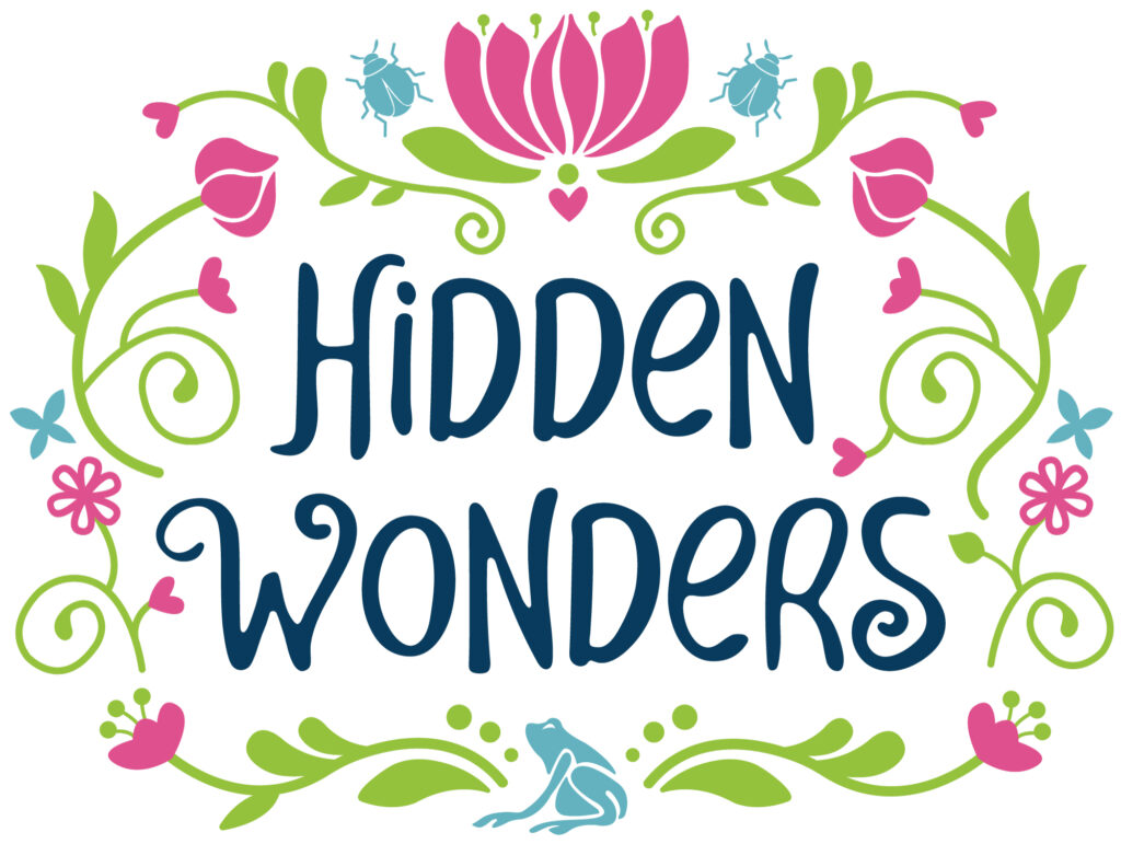 Hidden Wonders theme logo featuring swirling floral accents in green and pink with a blue frog and two blue beetles within the border.