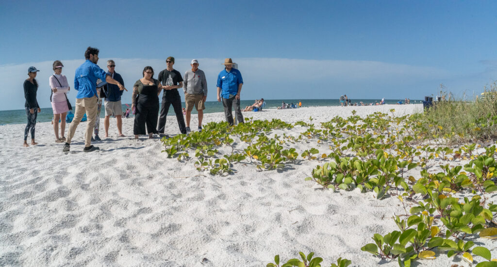 A group of 9 people stand on the beach while a Garden Educator points at a vine growing across the sand.