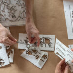 Three hands work to cut out designs of seeds on white paper.