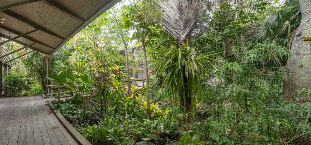 Tropical plants and trees are planted in a garden bed with a boardwalk and building next to it. 
