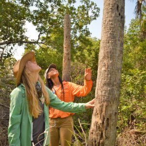 Naples Botanical Garden Curator of Education Mary Helen Reuter and Shannan Cartwright, of the Bahamas National Trust, examine a thatch palm on Keewaydin Island. The Bahamas National Trust is among our conservation partners.