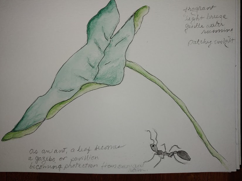 Nature Journaling Art Supply Kit - Draw Botanical LLC